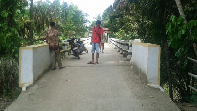 Ratusan Juta Dana Desa untuk Proyek Jembatan